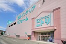 ニトリ港北ニュータウン店(電気量販店/ホームセンター)まで477m あざみ野第5エステ－ビル