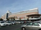 イトーヨーカドー(ショッピングセンター/アウトレットモール)まで1200m 第二千草ハイツ
