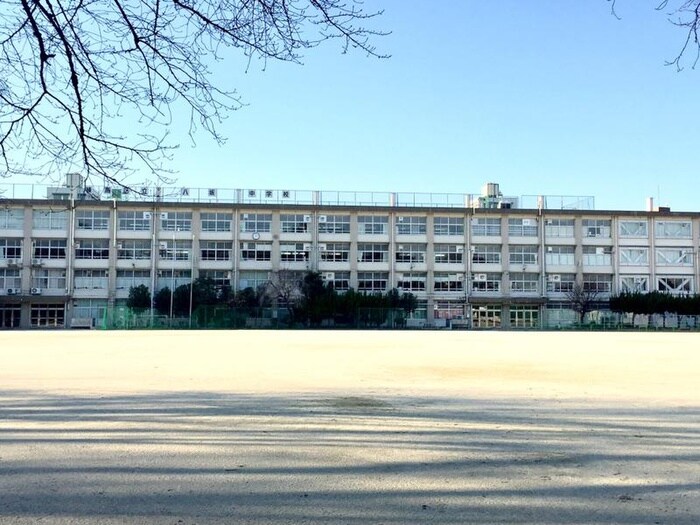 八坂中学校(中学校/中等教育学校)まで236m ペガサス