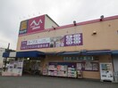 サカイヤ上中里店(ドラッグストア)まで203m カルム