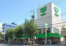 サミットストア　和泉店(スーパー)まで304m プライマル杉並方南町