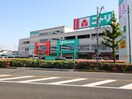 ニトリ　(電気量販店/ホームセンター)まで1100m カ－ムハイツ