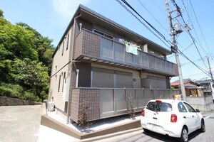 スプルースコート