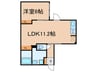 LEGALAND　千石 1LDKの間取り