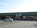 富士シティオ 鶴嶺店(スーパー)まで563m 湘南ブル－バ－グＢ