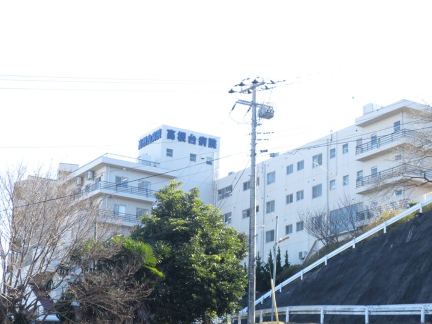 高根台病院(病院)まで1490m カルム小向Ｂ