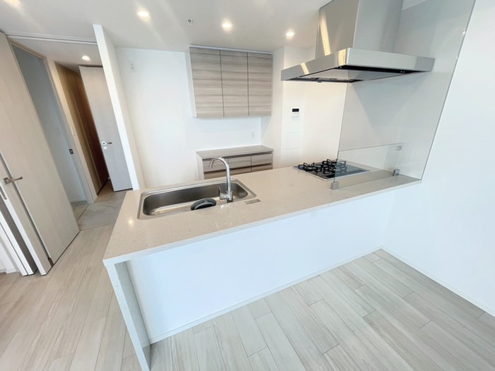 キッチン ザ・パークハビオ目白タワー