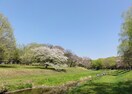 都立野水公園(公園)まで810m エクセルアサヒ