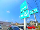 ニトリ(電気量販店/ホームセンター)まで830m ベルガーデン八千代緑が丘