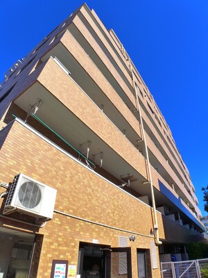 ﾗｲｵﾝｽﾞﾏﾝｼｮﾝ板橋中丸町(118)