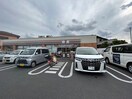 セブンイレブン(コンビニ)まで70m ＰＡＲＫ　ＳＩＤＥ