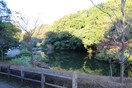 鎌倉中央公園(公園)まで950m サンハイツしらゆり