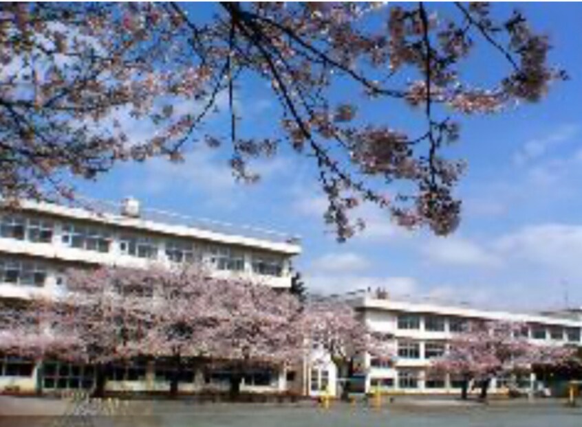 三ケ島小学校(小学校)まで950m ビューラー三ヶ島Ⅱ