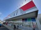 ドラッグストアセキ上藤沢店(ドラッグストア)まで550m アークペット