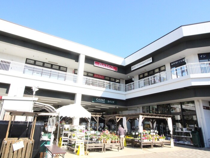 ダイソー相鉄ライフいずみ野店(100均)まで1600m アムールアンバー