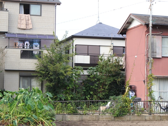 外観写真 ピアホンソン