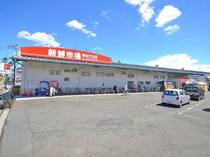 新鮮市場(スーパー)まで3600m ホ－ムタウン吉川