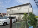 Red　Paddyの外観