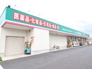 セイムス花田店(ドラッグストア)まで800m グランステージ東大沢