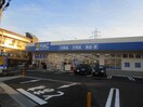 ハックドラッグ宿河原店(ドラッグストア)まで350m フェニックス盛高(1～6号室)