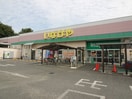 いなげや 入間春日町店(スーパー)まで450m レントハウス中村２