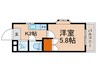 メゾン石川 1Kの間取り
