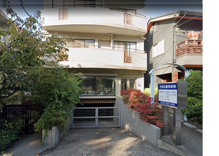 かおる動物病院(病院)まで450m コントレイル