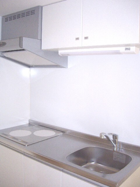 内観写真 ルモ－デセンタ－北