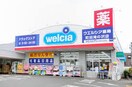 ウェルシア薬局町田滝ノ沢店(ディスカウントショップ)まで680m クレセントモナリエ