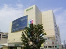 グランデュオ立川(スーパー)まで600m 原田荘
