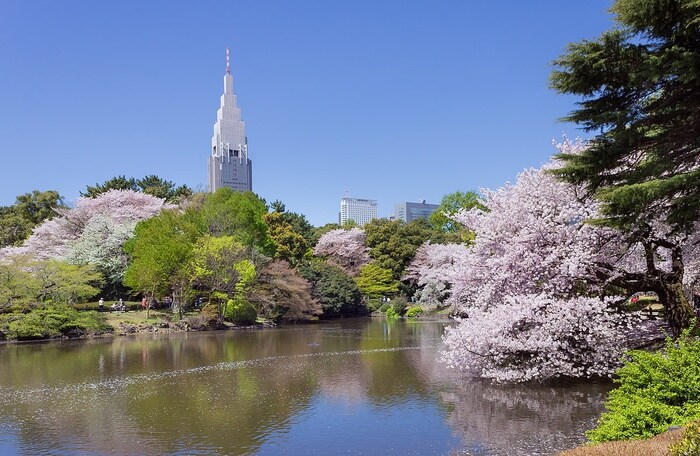 新宿御苑(公園)まで744m ミリアレジデンス新宿御苑