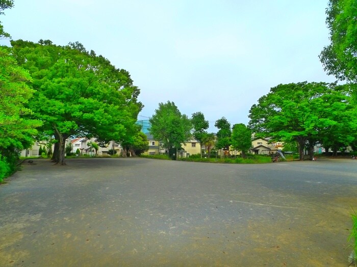 旭ヶ丘第一公園(公園)まで60m ＡＰＲＩＣＯＴ　ＨＯＵＳＥ