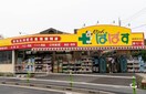 どらっぐぱぱす 板橋徳丸店(ドラッグストア)まで500m ラフォルテ上板橋