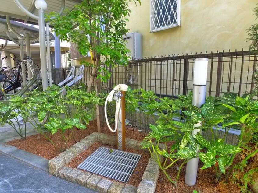 建物設備 パティオ