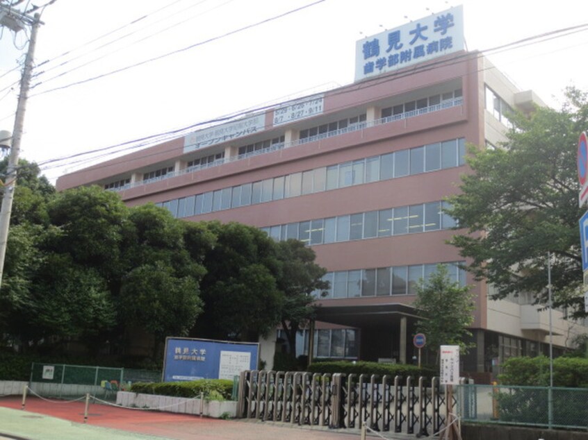鶴見大学(大学/短大/専門学校)まで587m 東台グリーンハイツ