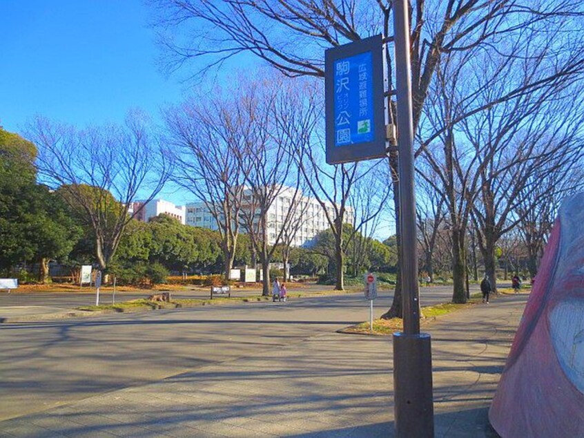 駒沢オリンピック公園(公園)まで176m ホ－ムズ駒沢公園