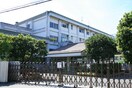 鵠沼小学校(小学校)まで530m 湘南クレストミヤコ