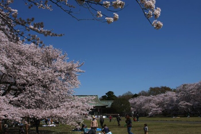 小金井公園(公園)まで2000m メゾン寿