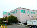 ニトリ(電気量販店/ホームセンター)まで590m 本厚木第７