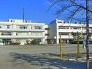 浦安小学校(小学校)まで453m ベルファミ－ユ