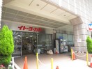 株式会社イトーヨーカ堂 武蔵小杉駅前店(スーパー)まで510m ハイツガーディニア小杉