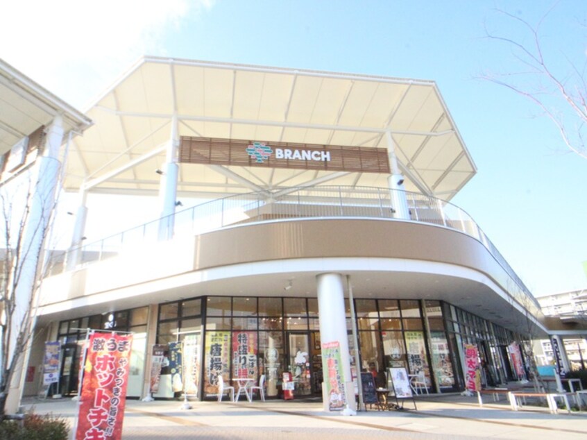 BRANCH 茅ヶ崎3(ショッピングセンター/アウトレットモール)まで916m アンプルールフェールラシーヌ