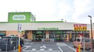 スギ薬局　コープ秋津町店(ドラッグストア)まで600m クレ－ル秋津