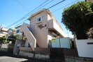 ハイムマンドリンⅡの外観