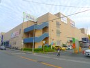Ｍｉｅｌ(ショッピングセンター/アウトレットモール)まで717m グランシエロ川口本町