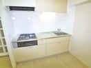 キッチン ｸﾞﾘｰﾝｺｰﾎﾟ松戸みのり台(312)