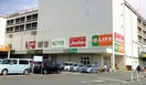 LIFE(スーパー)まで367m イザットパレス相模原