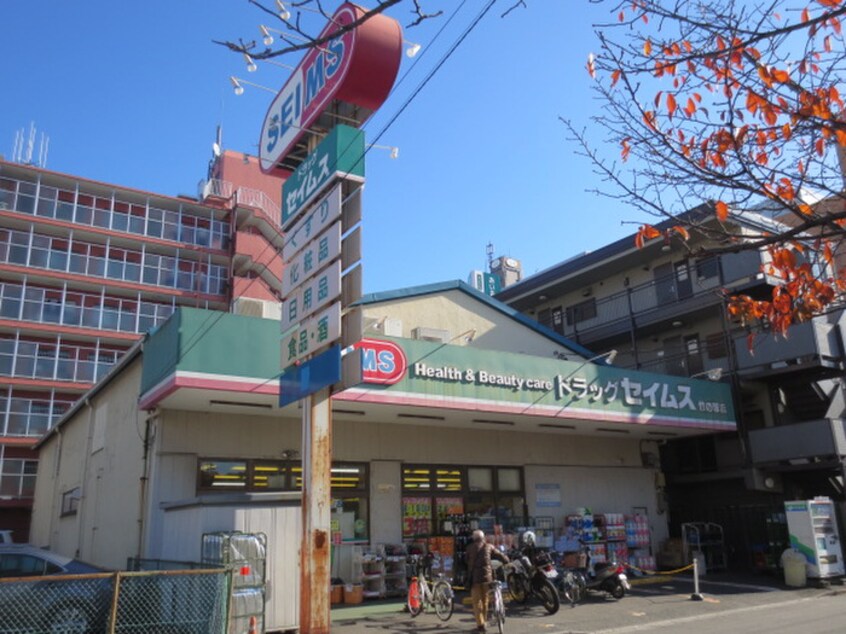 セイムス(ドラッグストア)まで310m 丸金ビル