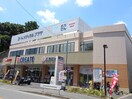 クリエイトSD港北綱島東店(ドラッグストア)まで630m 綱島グリ－ンハイツ