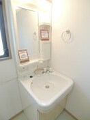 洗面 シャイニングフォールズ